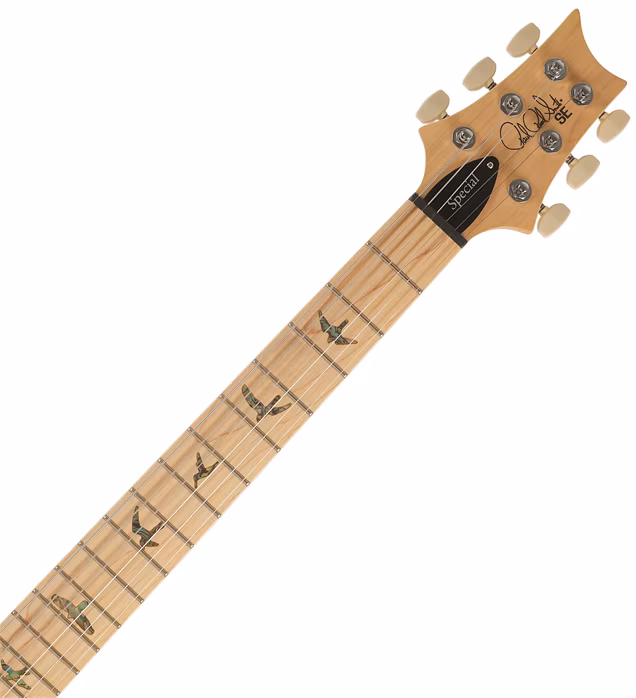 PRS SE Swamp Ash Special Vintage Sunburst 2026 - Elektrická kytara