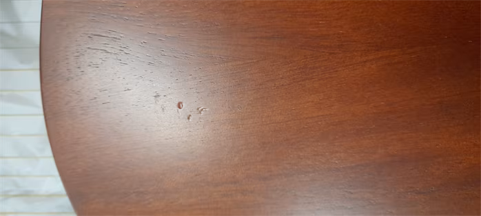 Cega Lyre Harp 24 String Coffee (použité) - Lyra