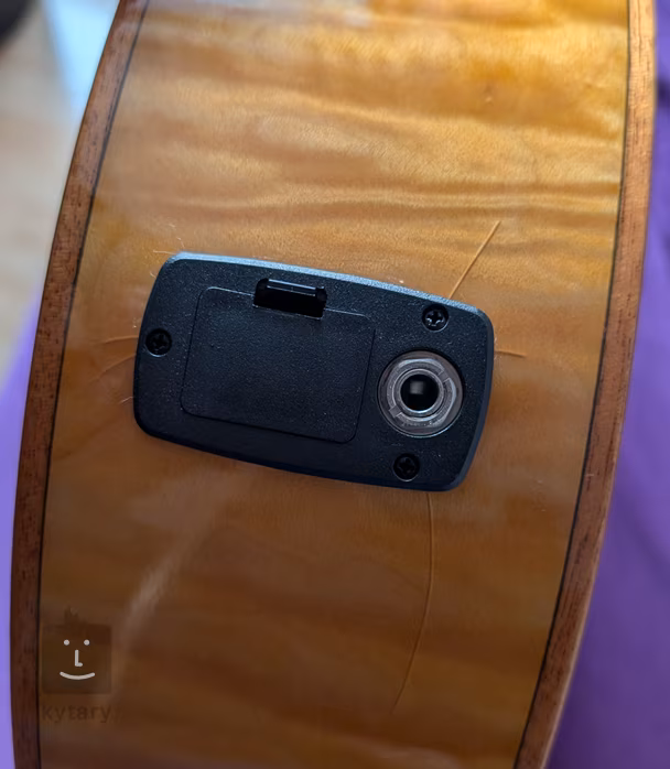 Tanglewood TWX6CE SMF (poškozené) - Elektroakustická kytara