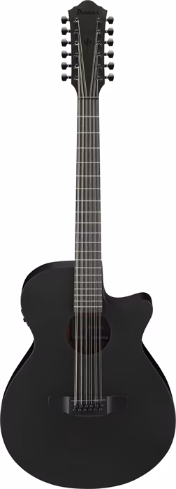 Ibanez AEG621-BOT - Elektroakustická kytara