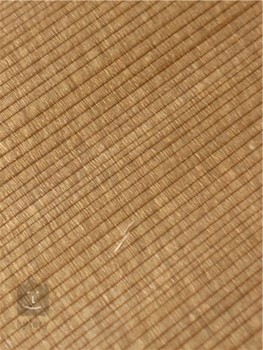 Godin Multiac ACS-SA SLIM Nylon Natural SG (použité) - Elektroakustická midi kytara