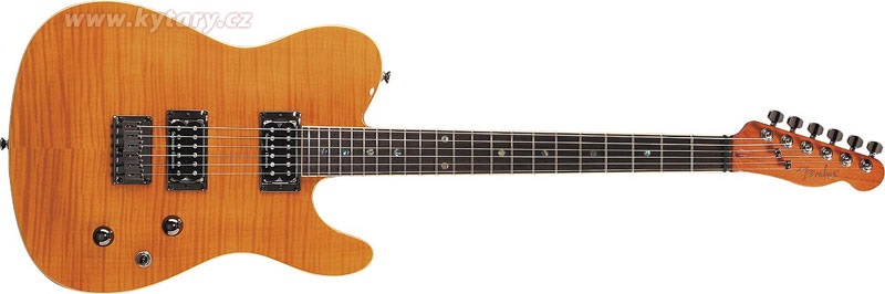 Fender Custom Telecaster FMT HH RW AM