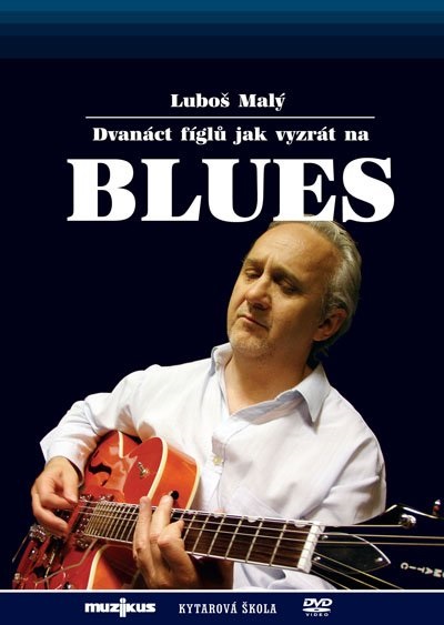 Muzikus 12 fíglů jak vyzrát na blues - DVD - Luboš Malý