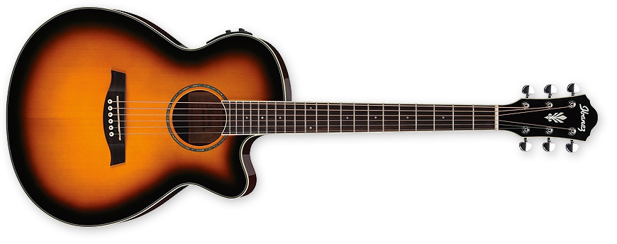 Ibanez AEG 10II VS