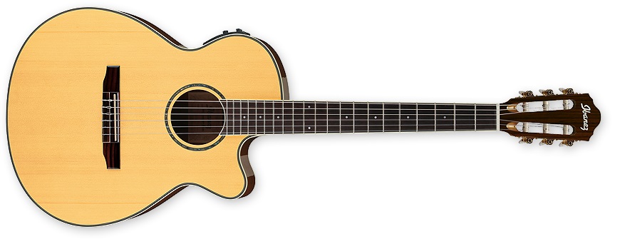 Ibanez AEG 10NII NT