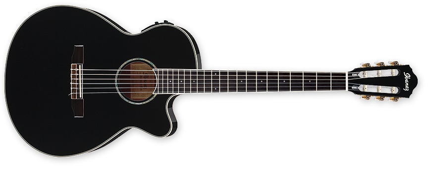 Ibanez AEG 10NII BK