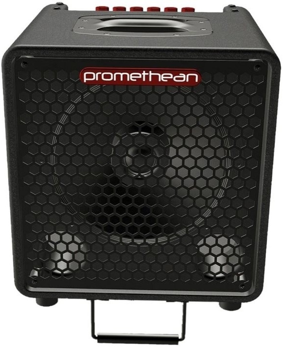 Ibanez P3110