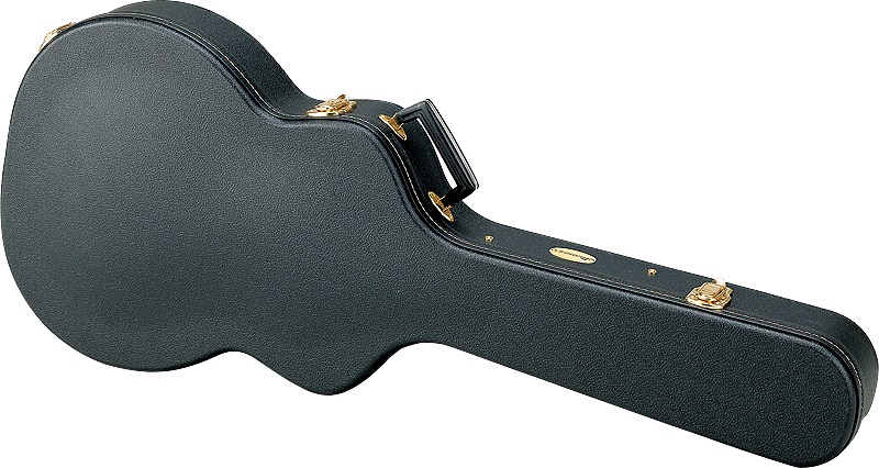 Ibanez AFS-C