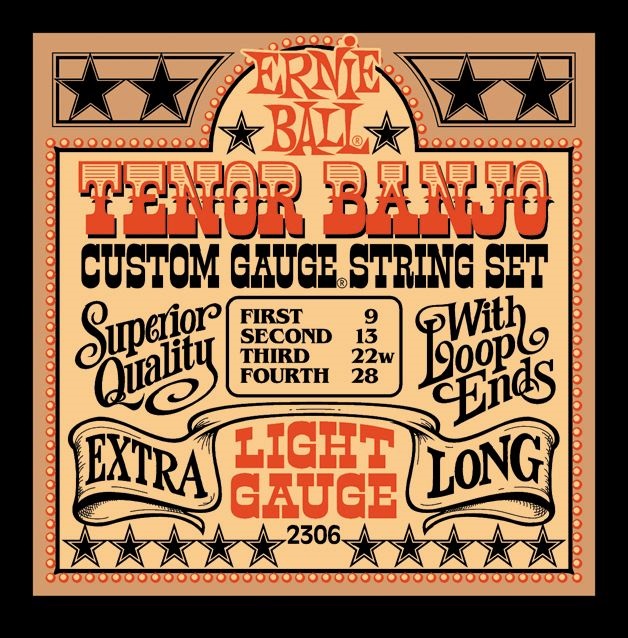 Ernie Ball Stainless Steel Tenor Banjo Light