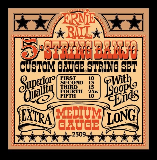 Ernie Ball Stainless Steel Banjo Medium