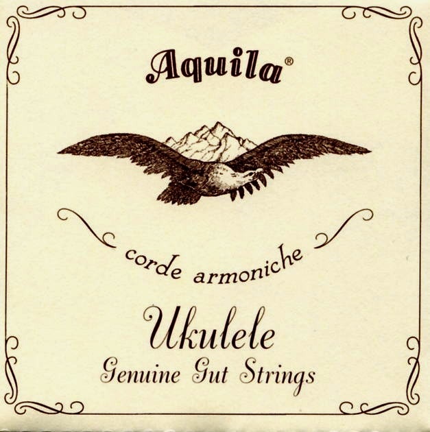 Fotografie Aquila 43U