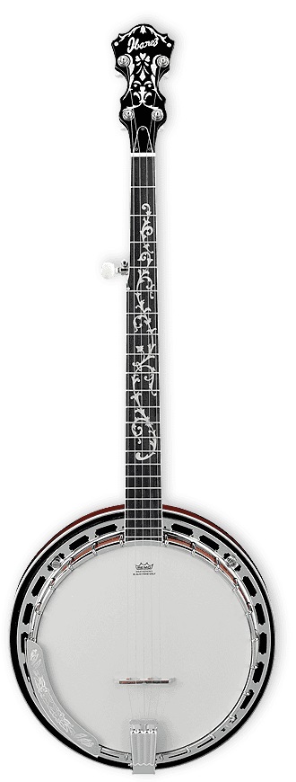 Fotografie Ibanez B200