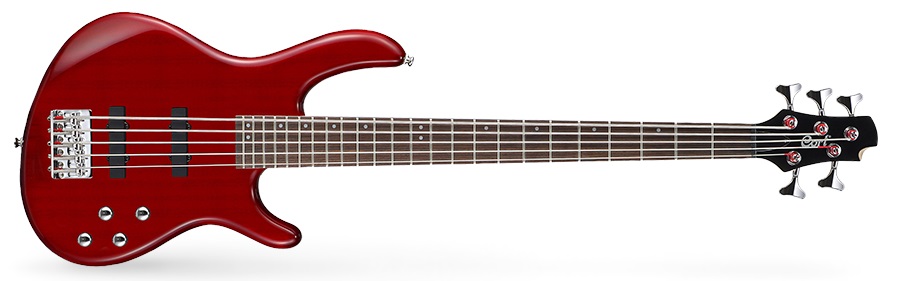 Cort Action V Plus TR