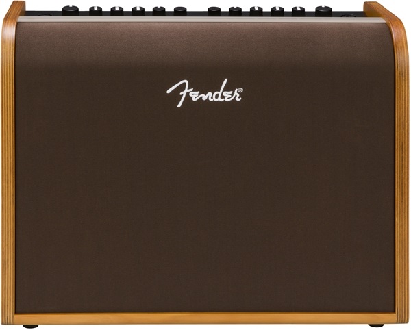 Fender Acoustic 100