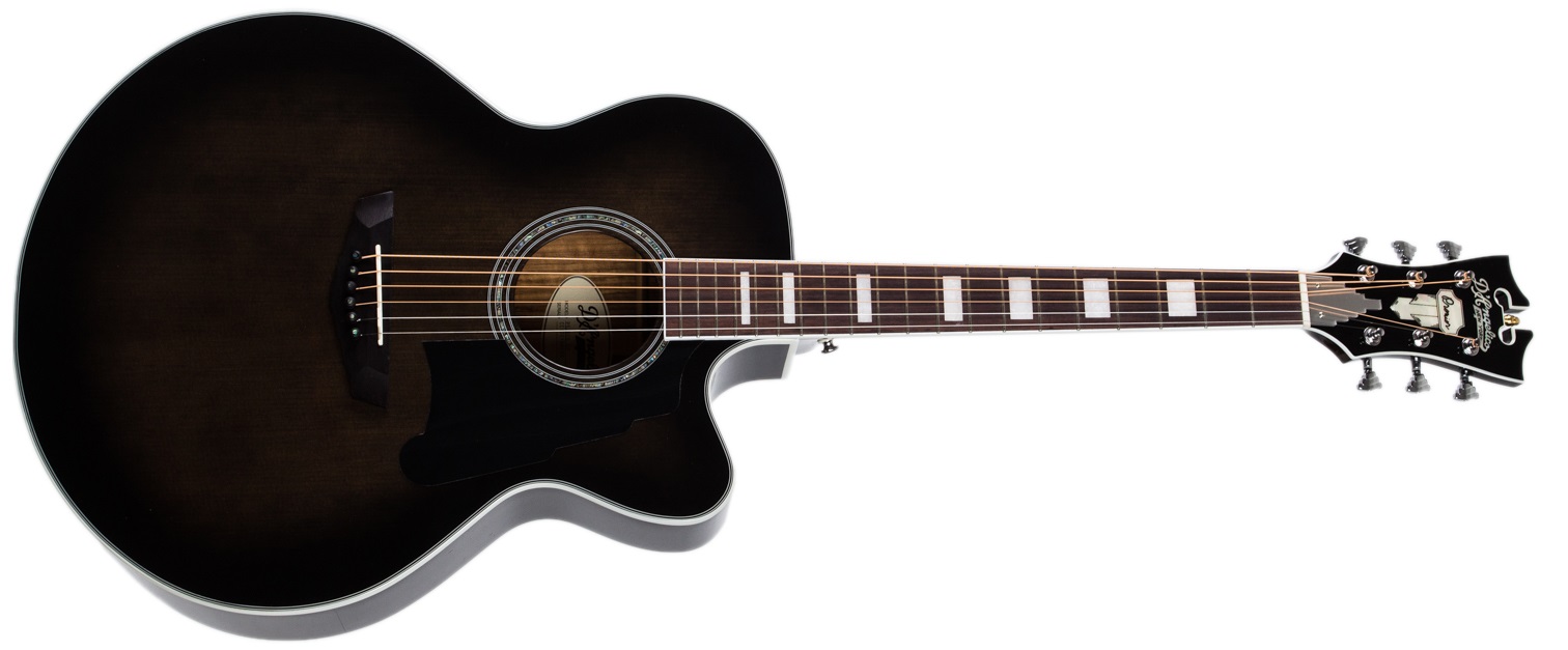 D'Angelico Premier Madison Grey Black