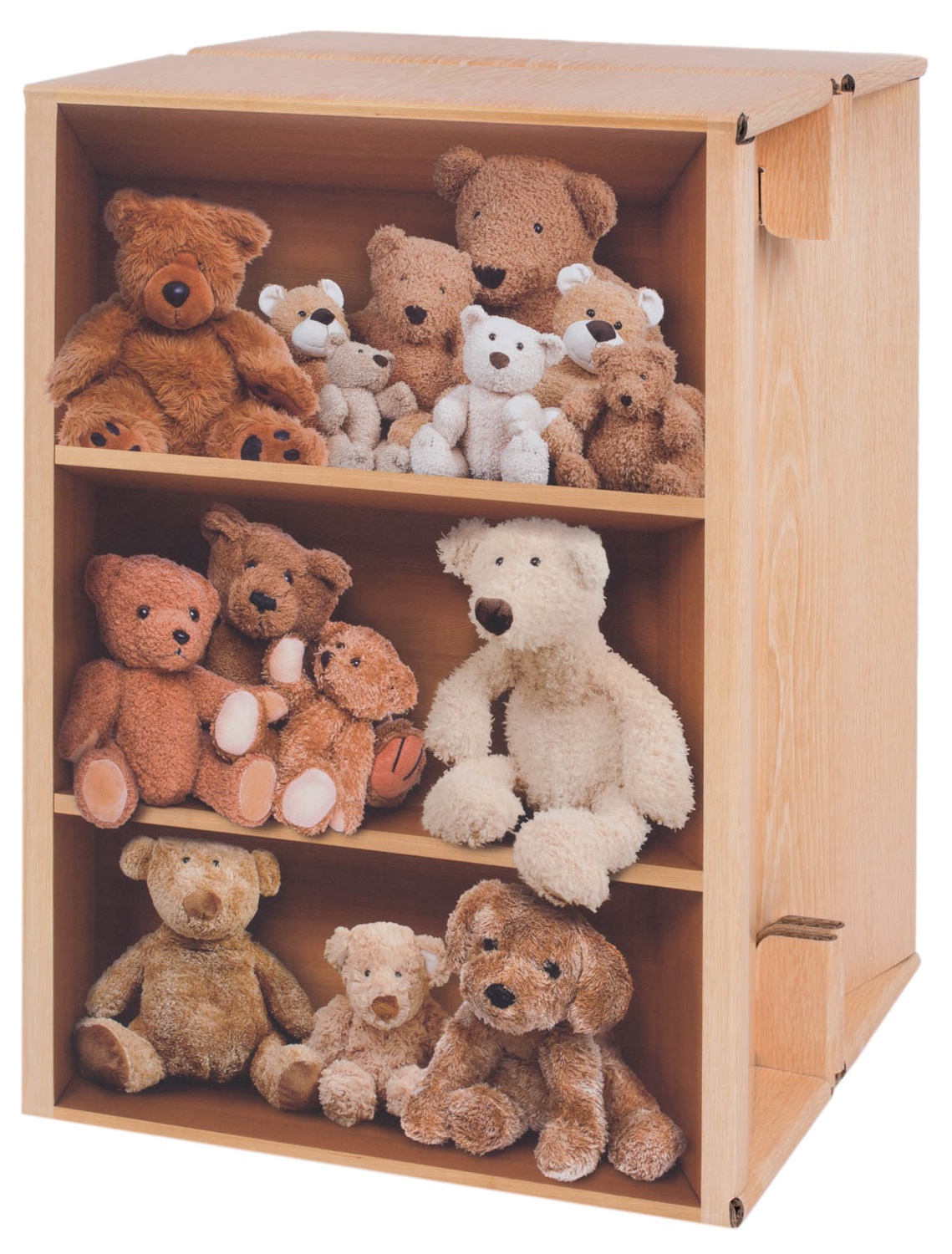 Carton Cajon Teddy