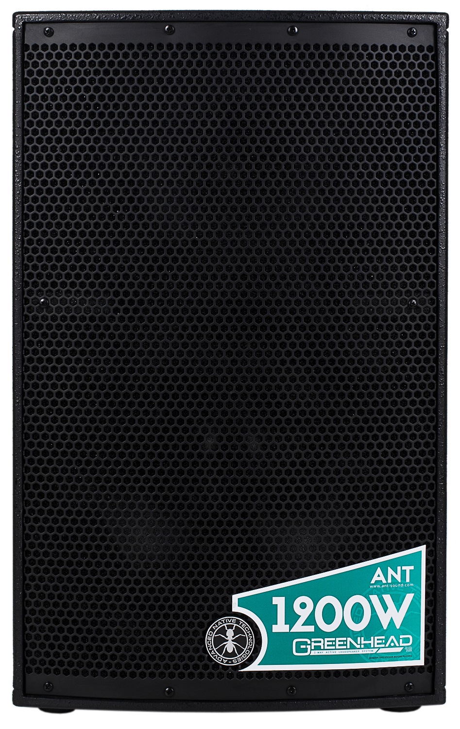 Ant GREENHEAD 12