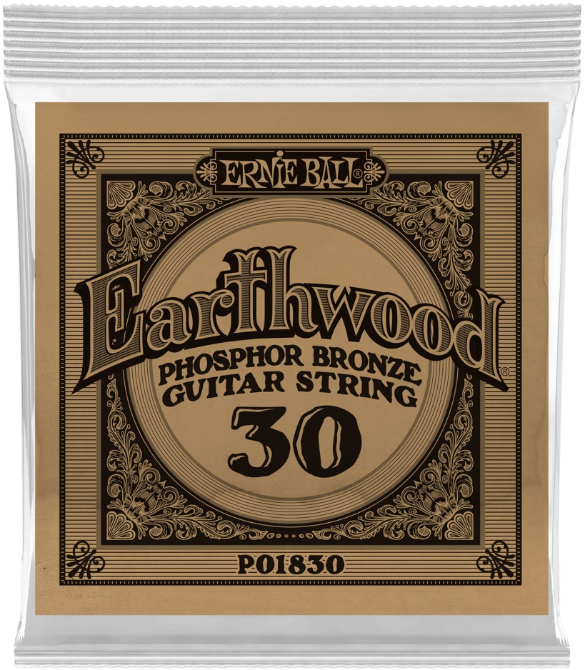 Ernie Ball Earthwood Phosphor Bronze Single .030