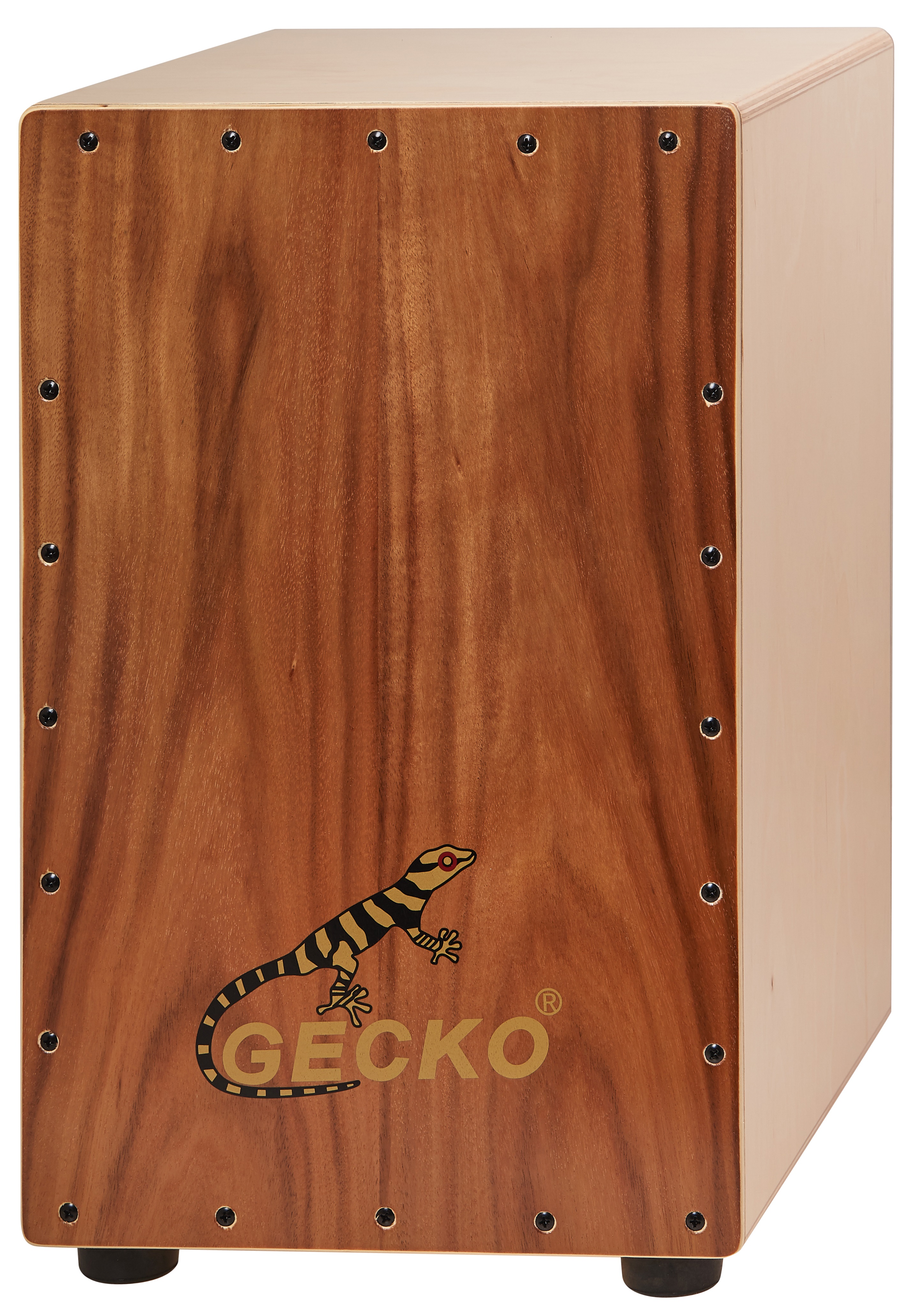 Fotografie Gecko CL10KOA