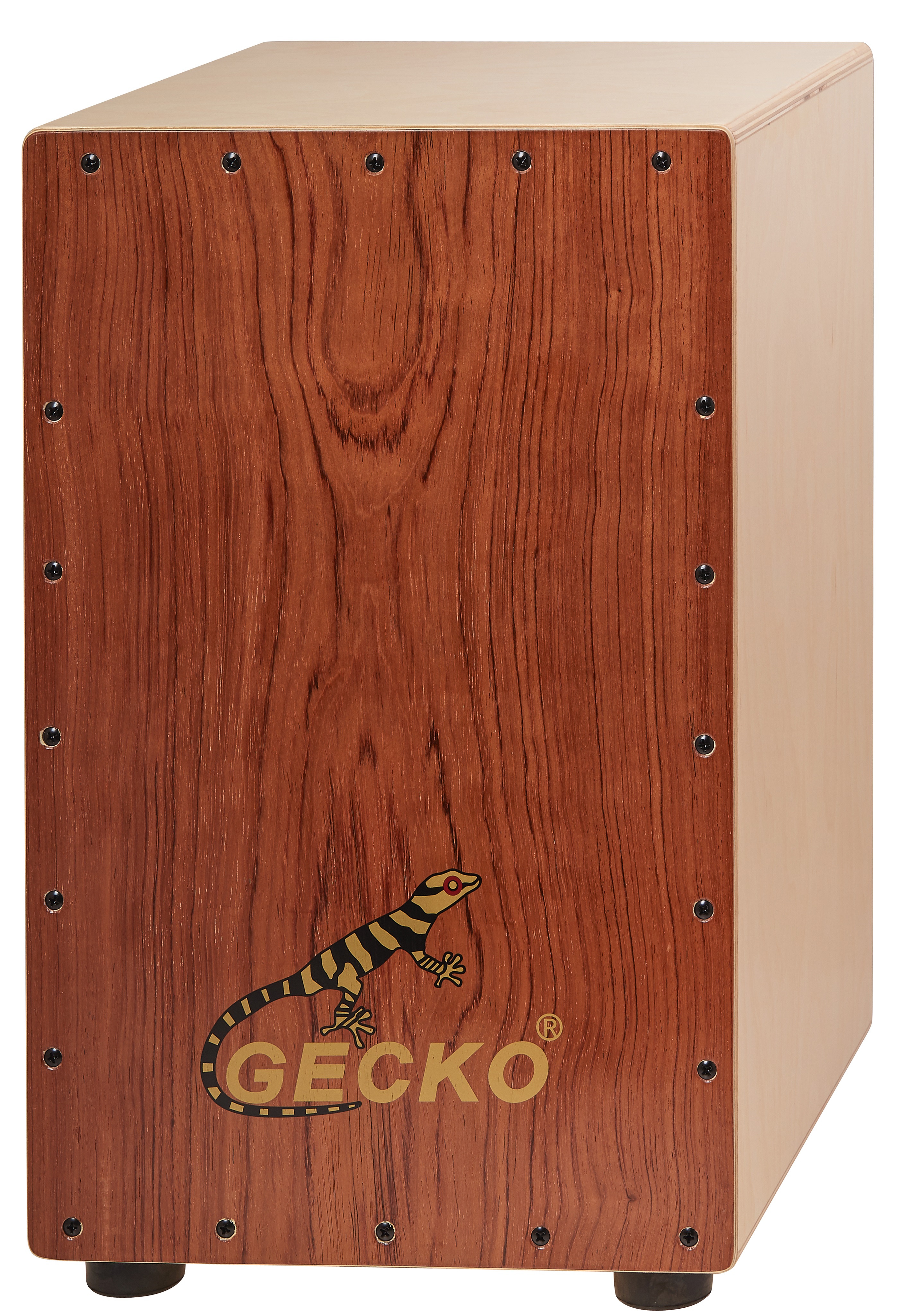Fotografie Gecko CL10BA