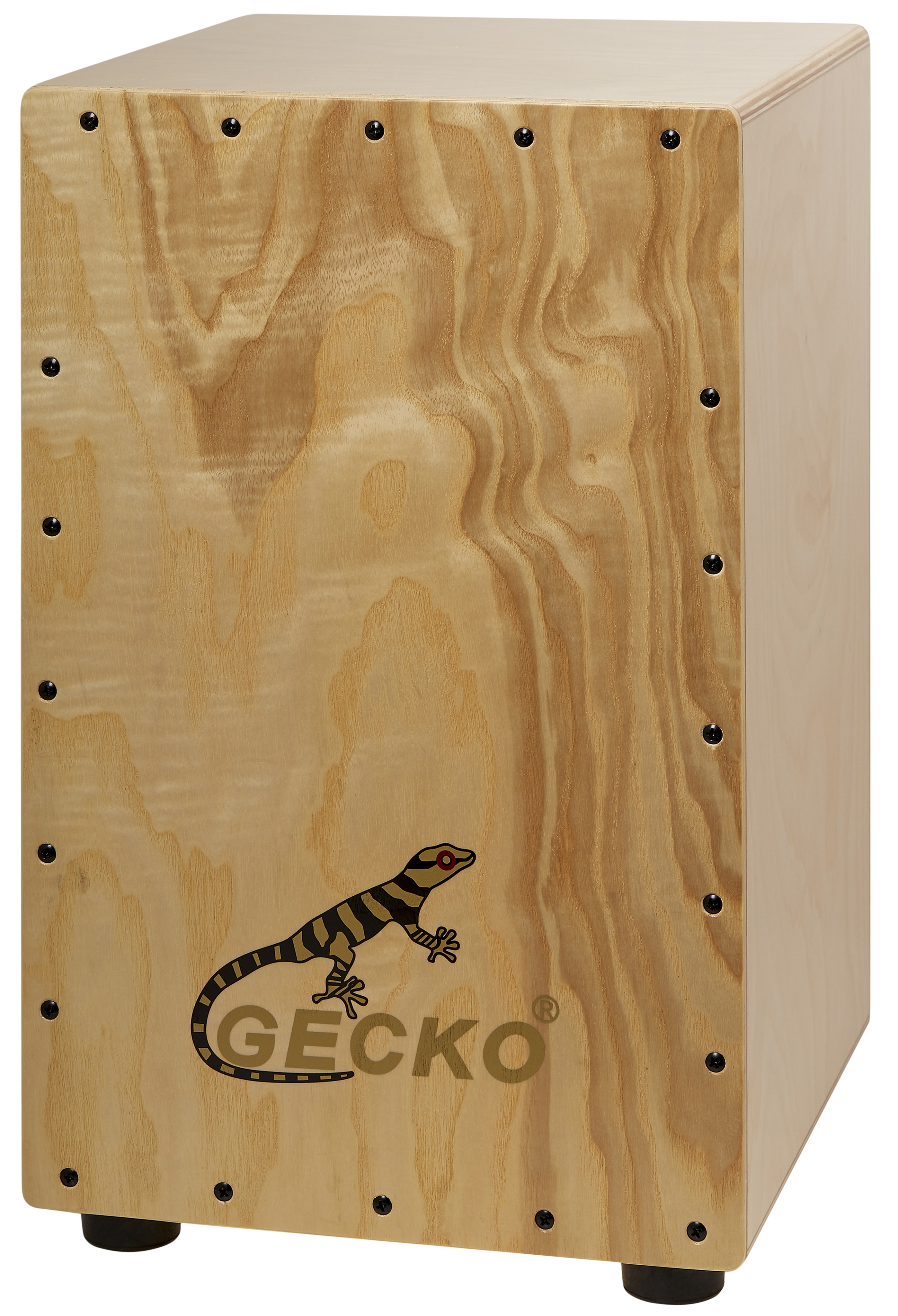 Fotografie Gecko CL10OV