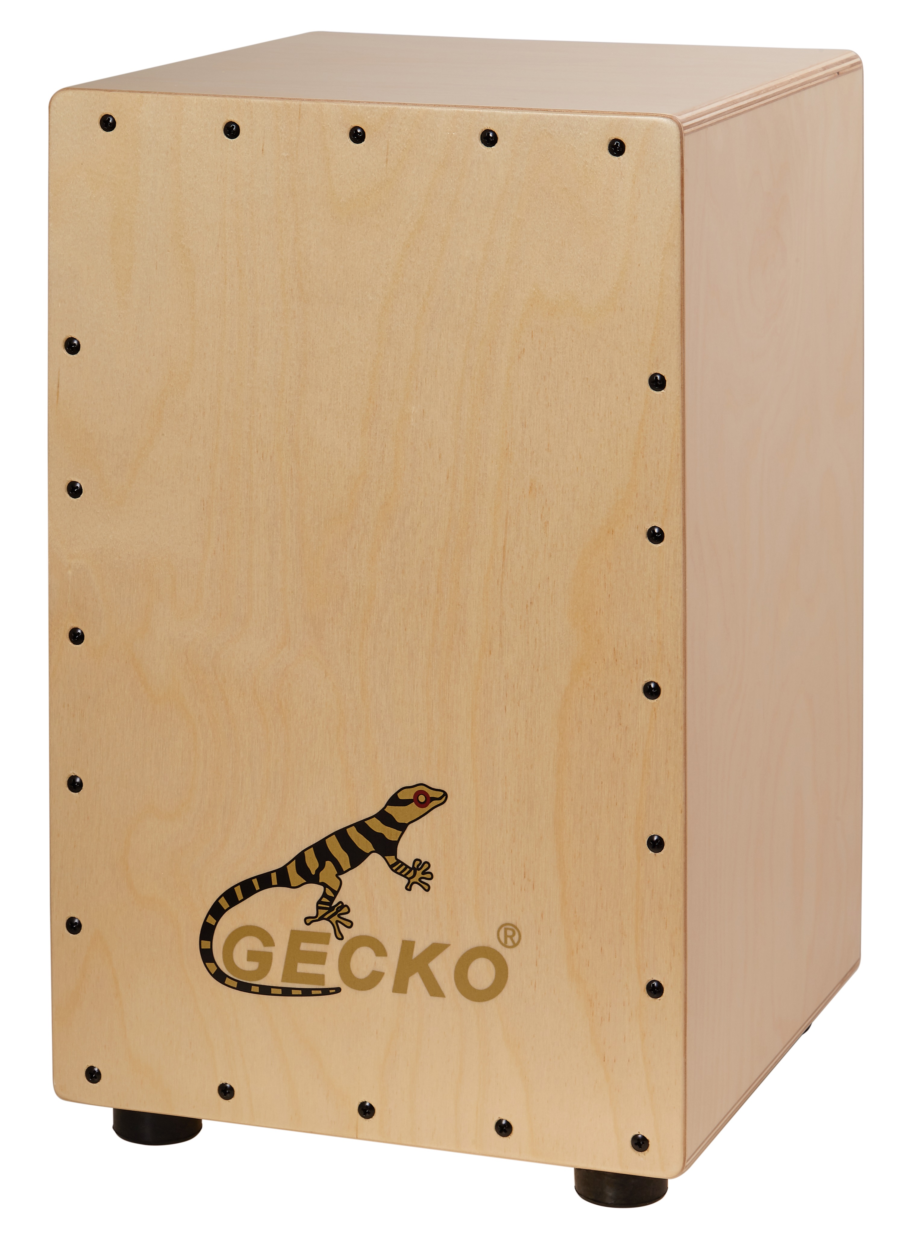 Fotografie Gecko CL12N