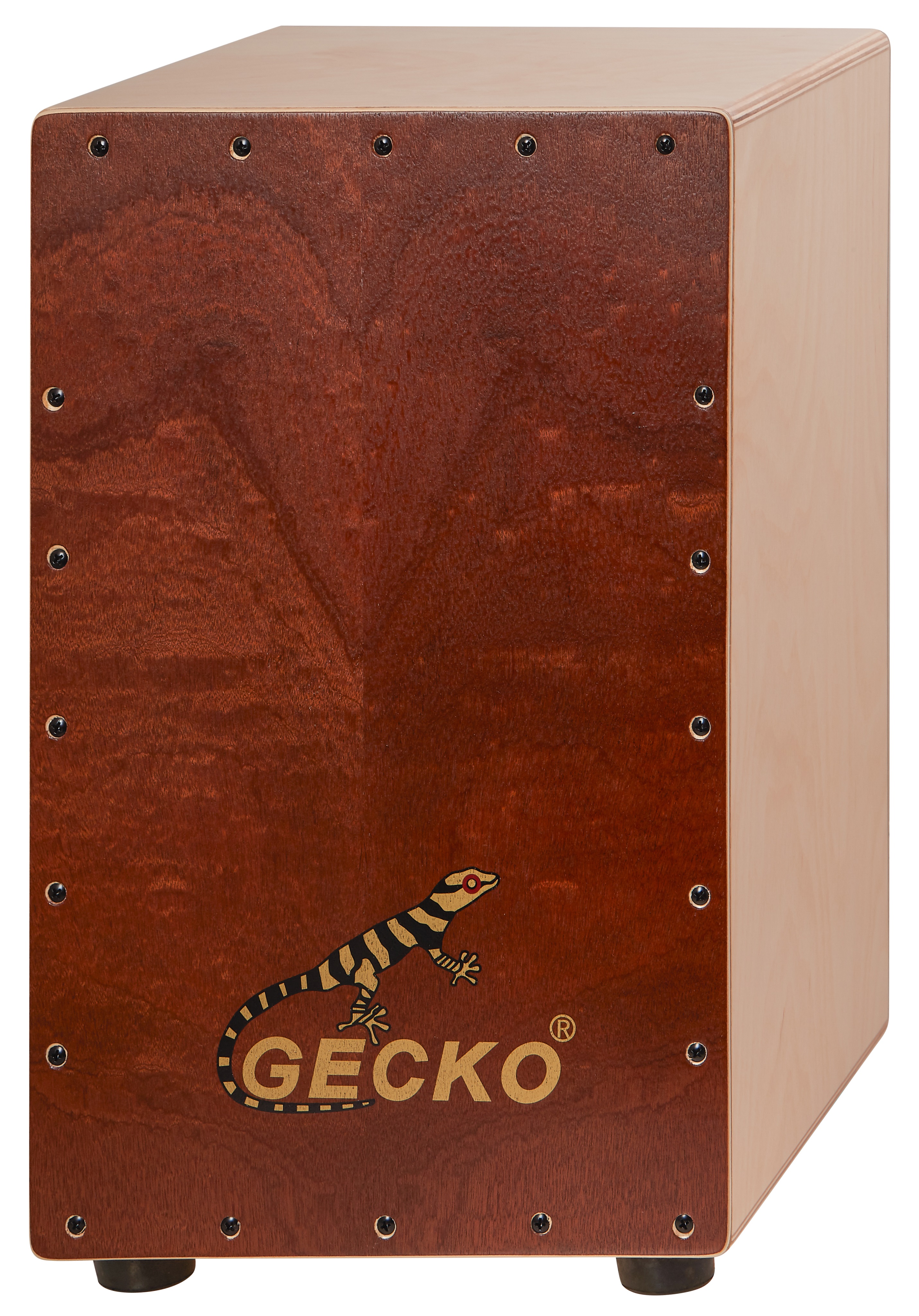 Fotografie Gecko CL10SP