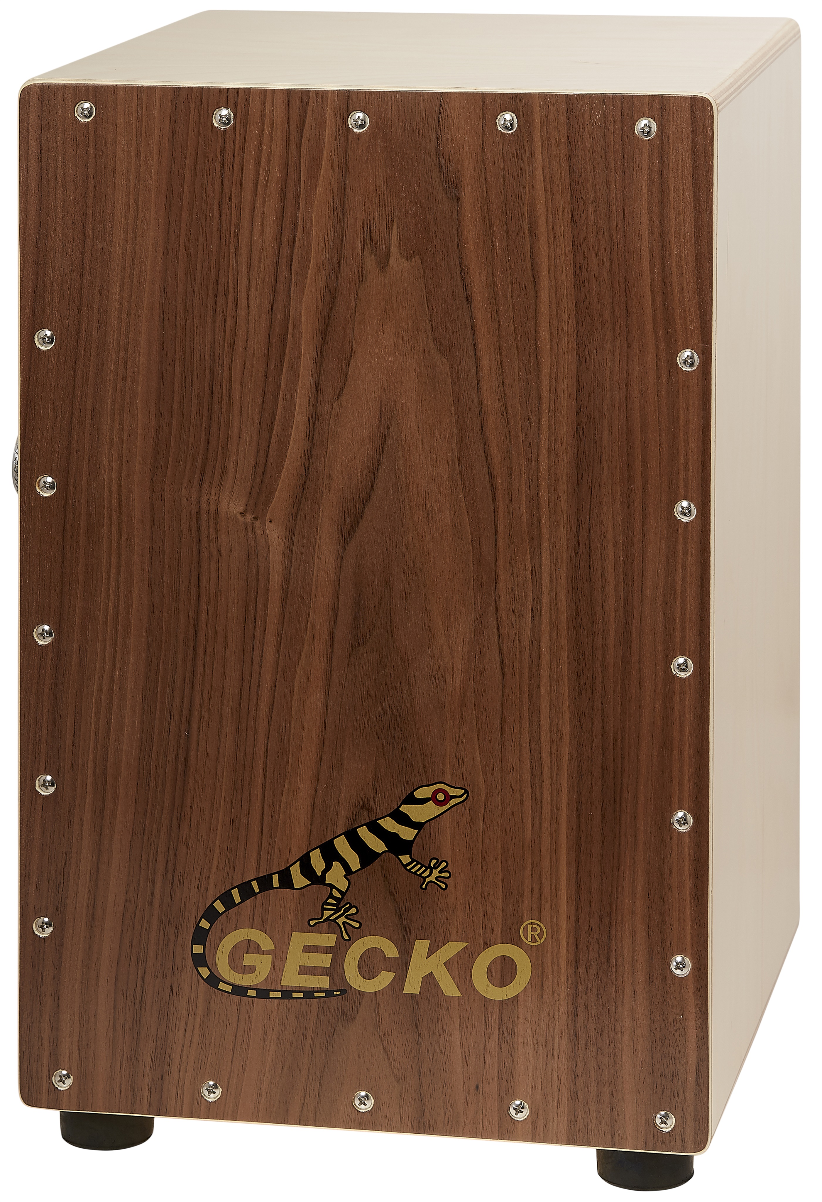 Fotografie Gecko CL50