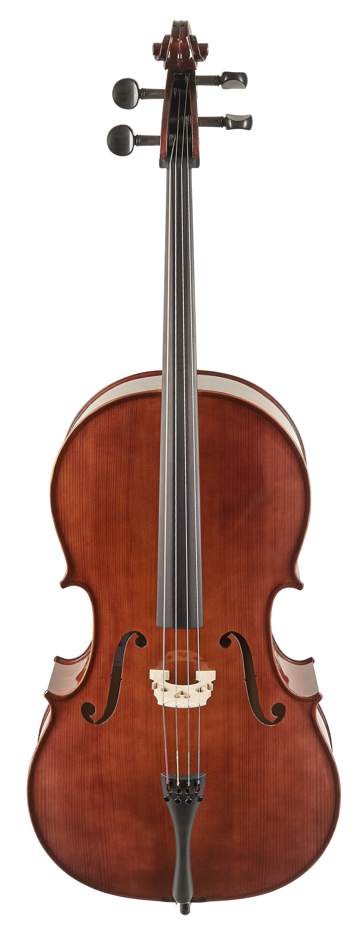 Strunal Schönbach Violoncello Academy 4/15we