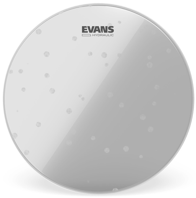 Evans 8