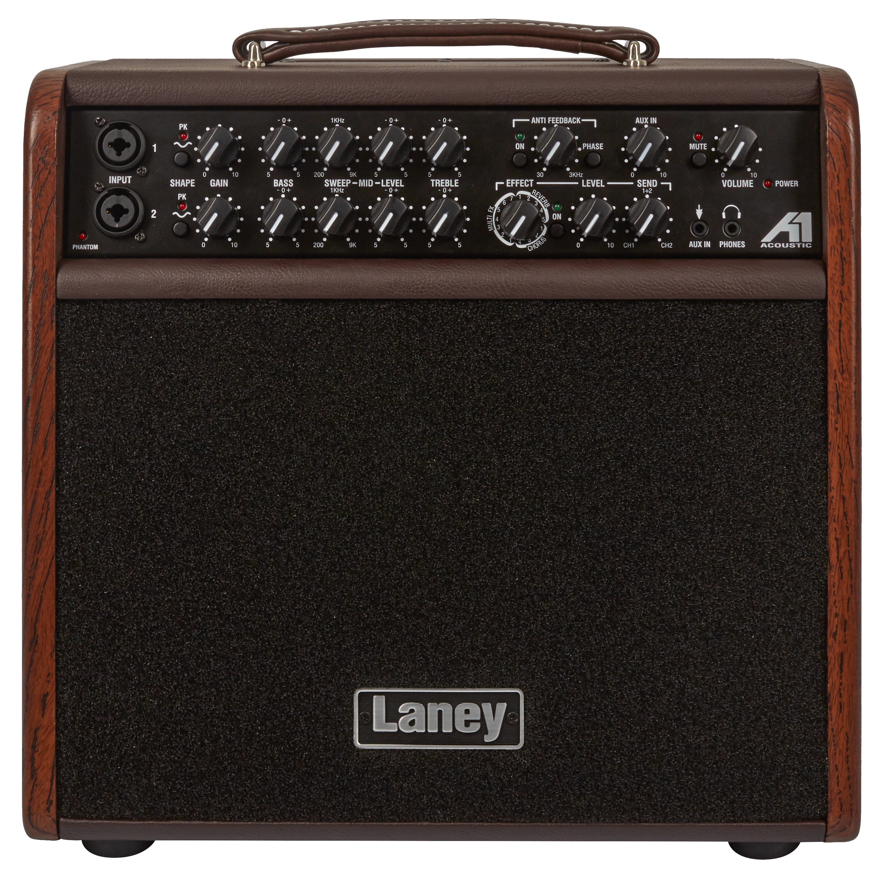 Laney A1