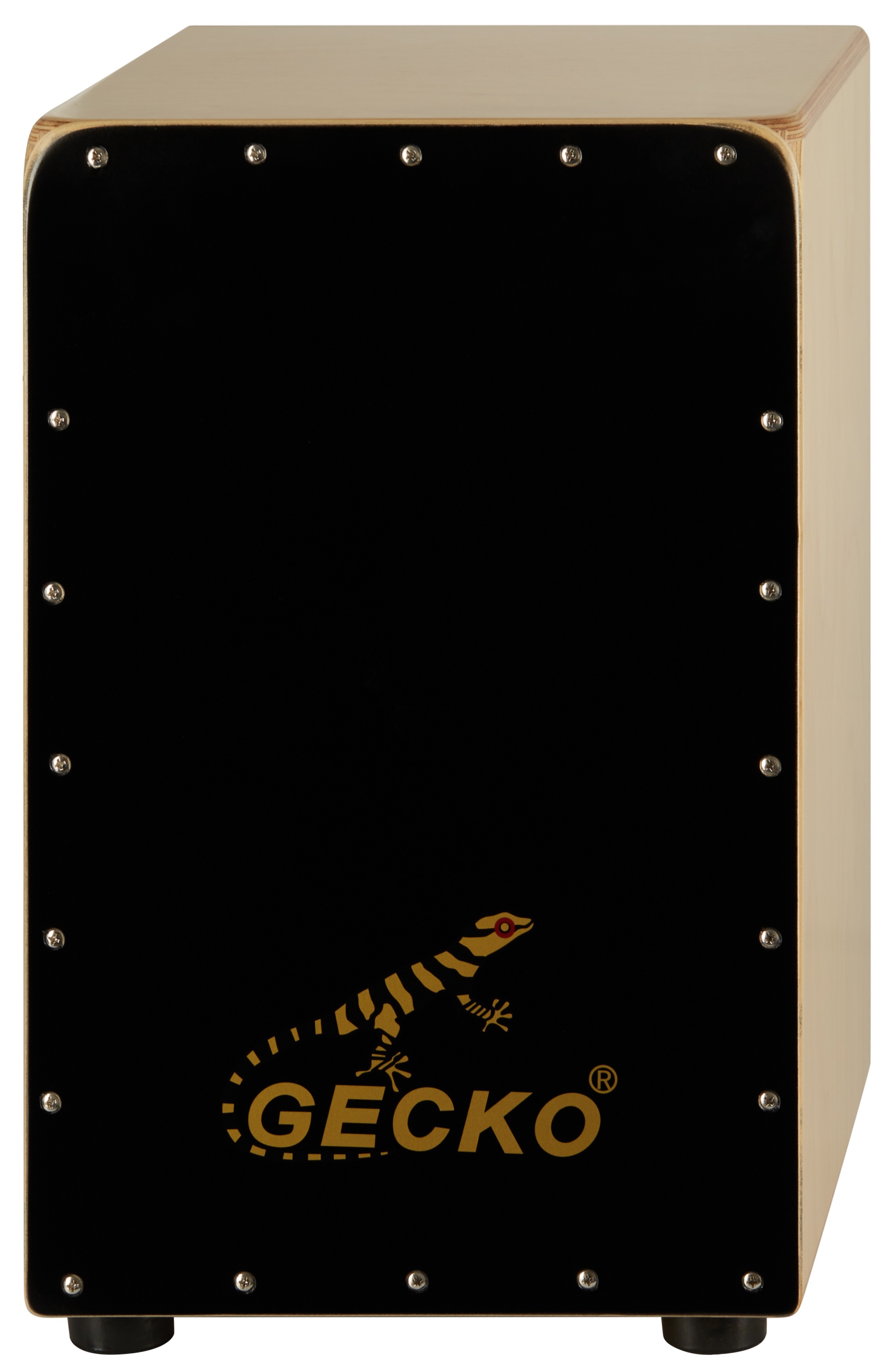 Fotografie Gecko CL19BK