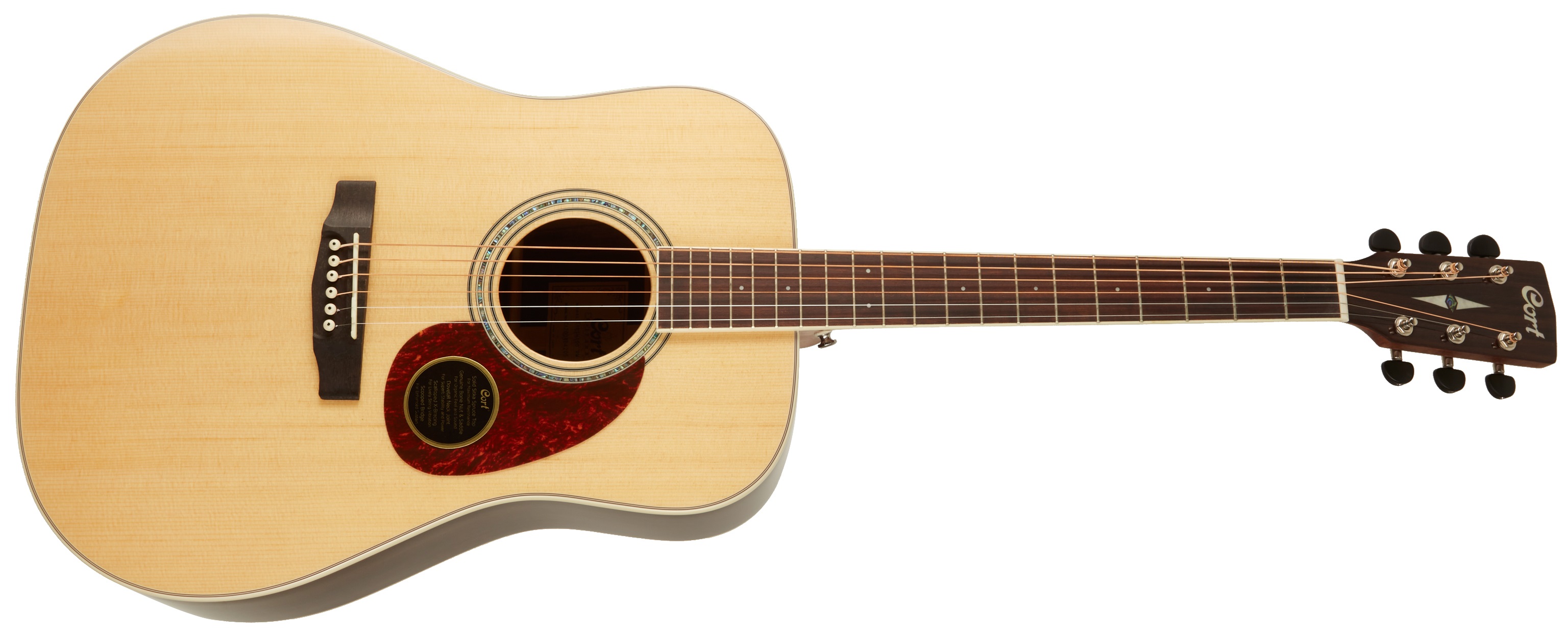 Cort Earth 100 RW NAT