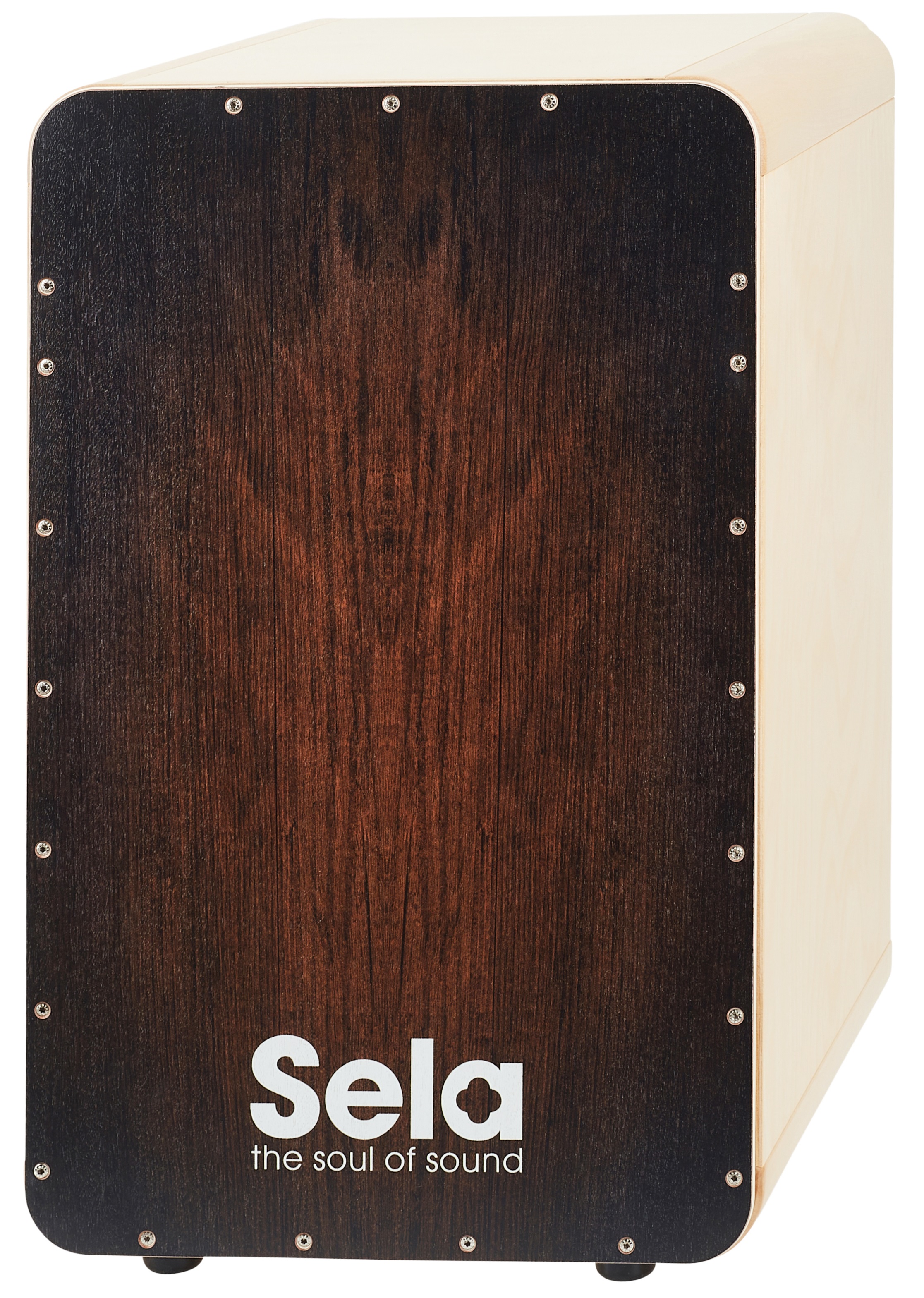 Fotografie Sela CaSela Brown Dragon