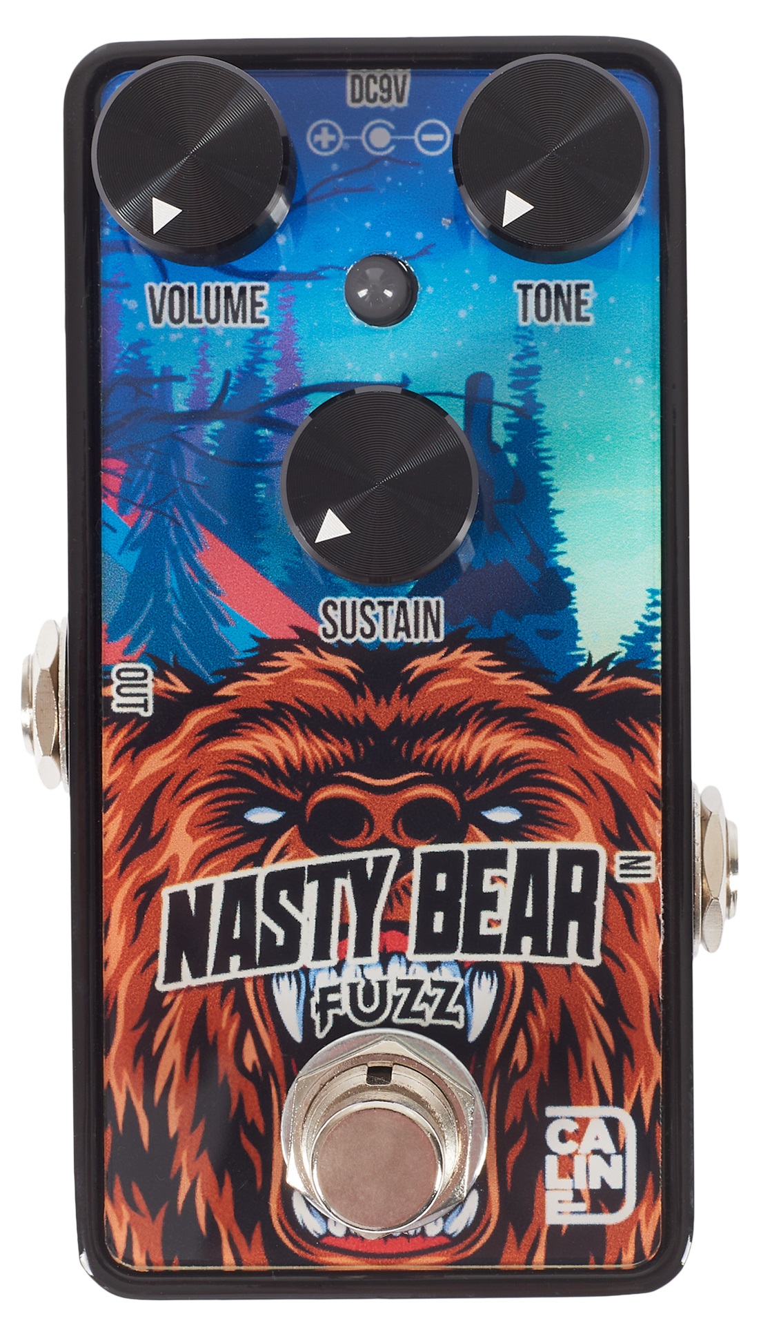 Fotografie Caline Nasty Bear Fuzz