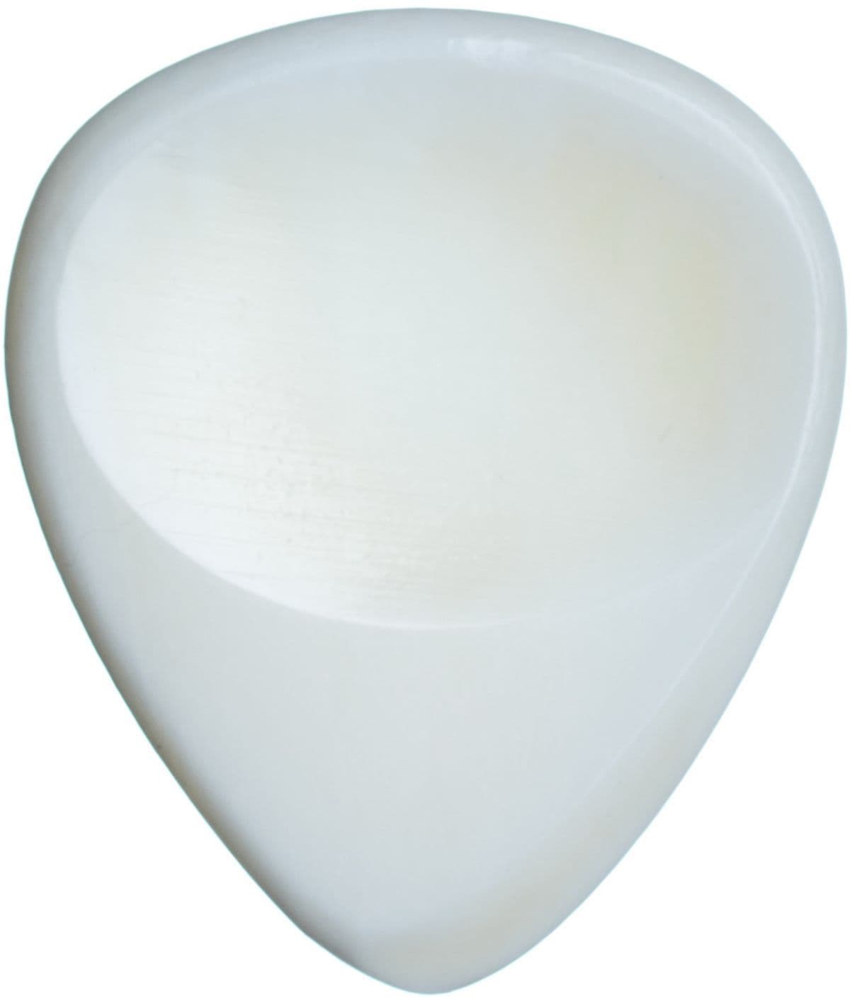 Fotografie Timber Tones Groove Tones Buffalo Bone