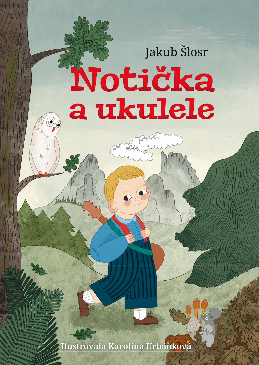 Fotografie Frontman Notička a ukulele