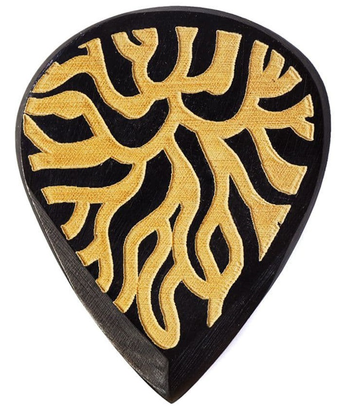 Fotografie Timber Tones Tribal Tones Anemone