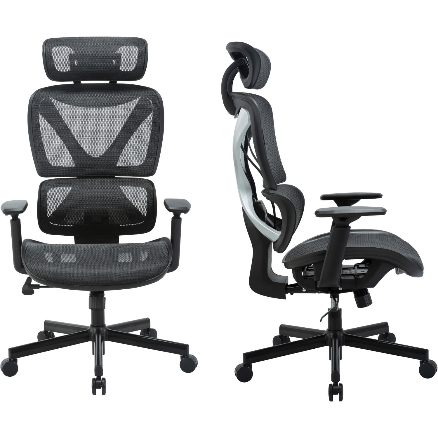 Fotografie Mozos ERGO-R