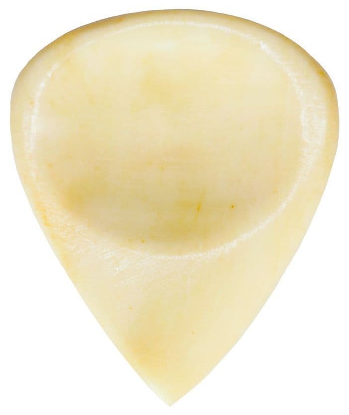 Fotografie Timber Tones Funk Tones Buffalo Bone