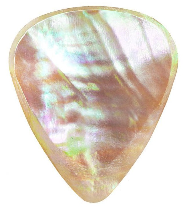 Fotografie Timber Tones Abalone Tones Greenlip Abalone