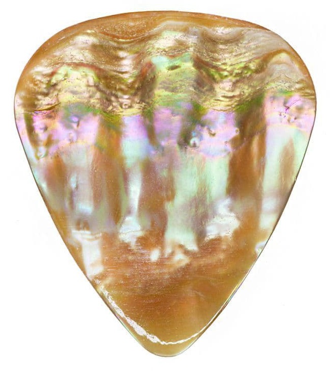 Fotografie Timber Tones Abalone Tones Awabi Abalone