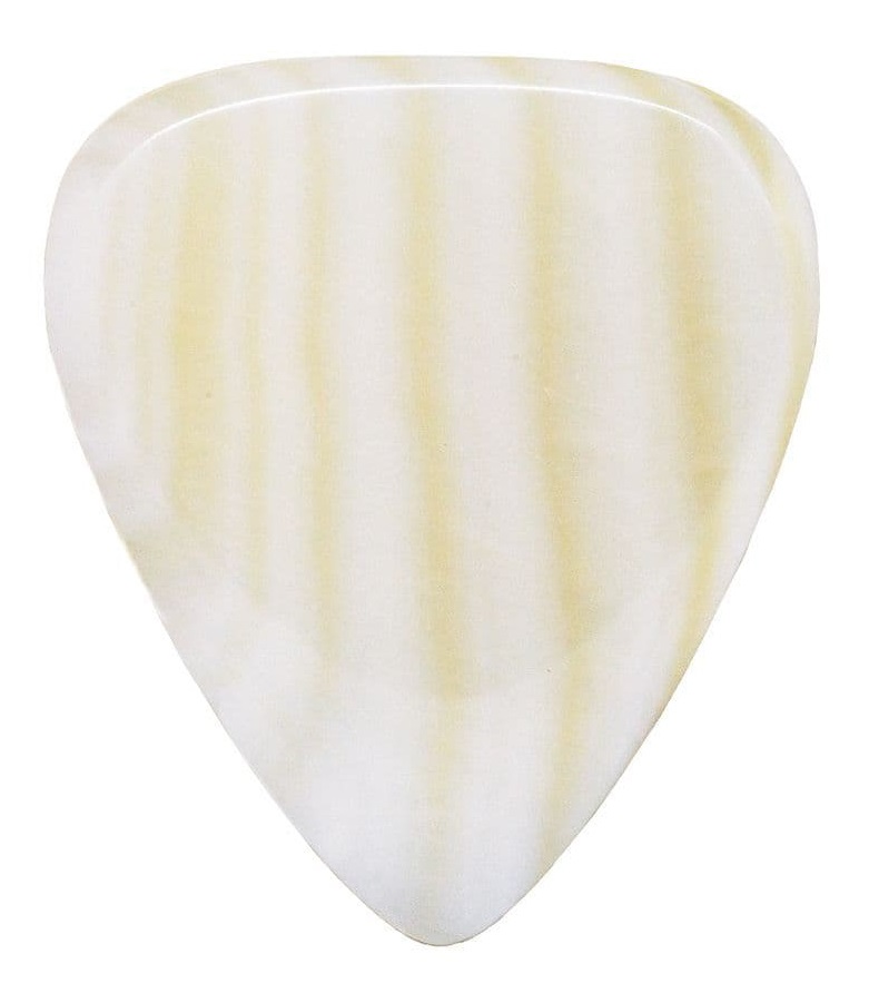 Fotografie Timber Tones Shell Tones Freshwater Mop