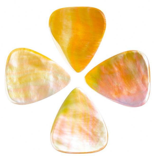 Fotografie Timber Tones Shell Tones Gold Mop 4-Pack