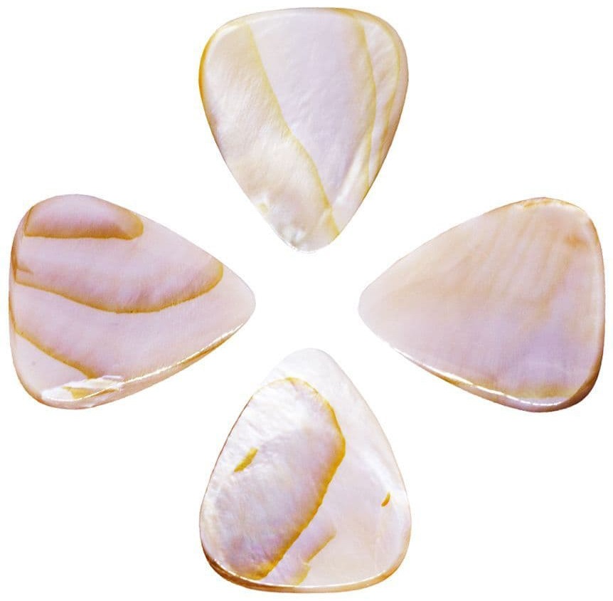 Fotografie Timber Tones Shell Tones Mussel Shell 4-Pack