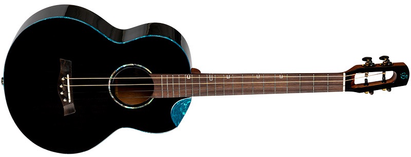Fotografie Flight Nighthawk Baritone EQ-A Black