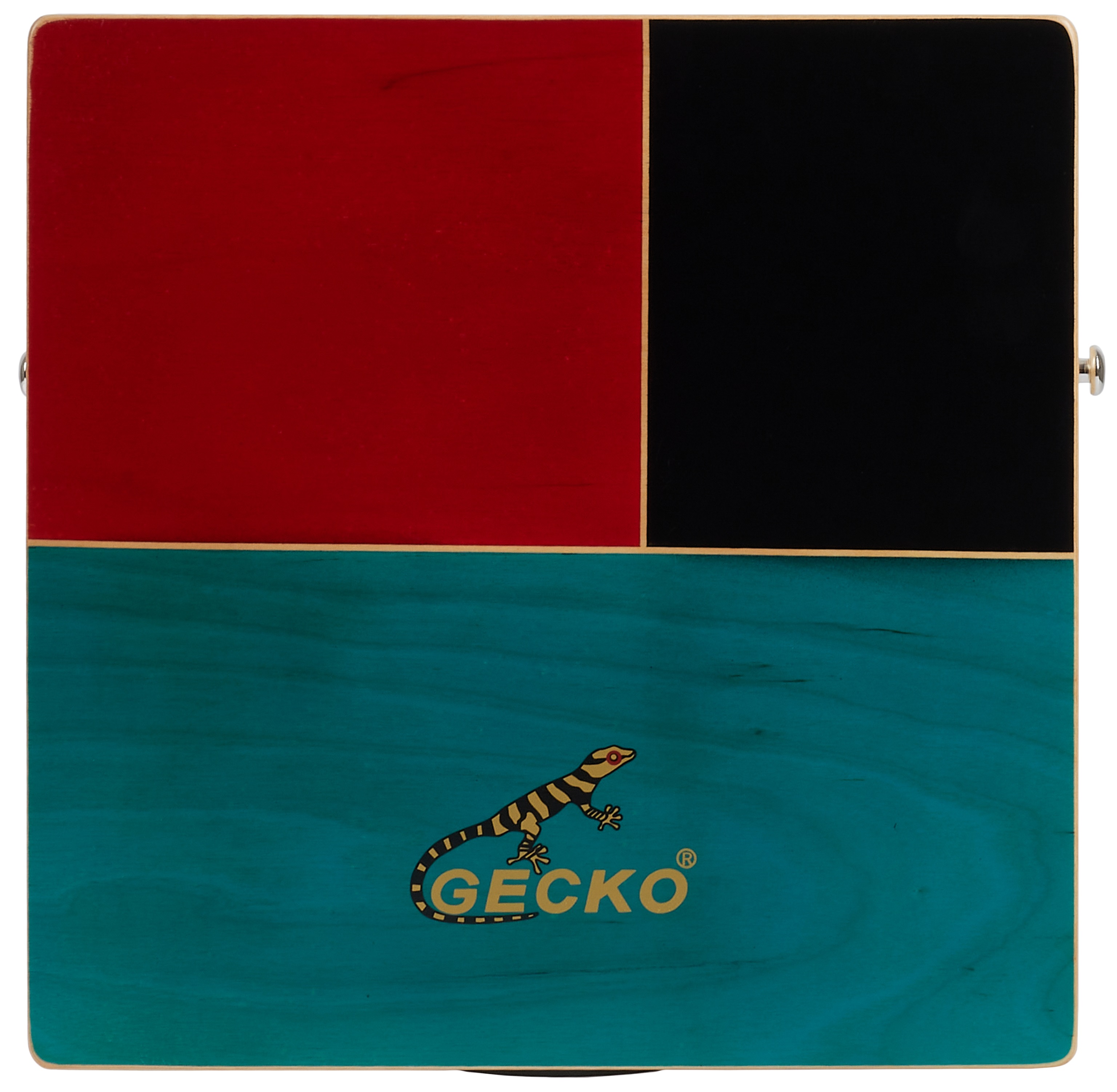 Fotografie Gecko C-69