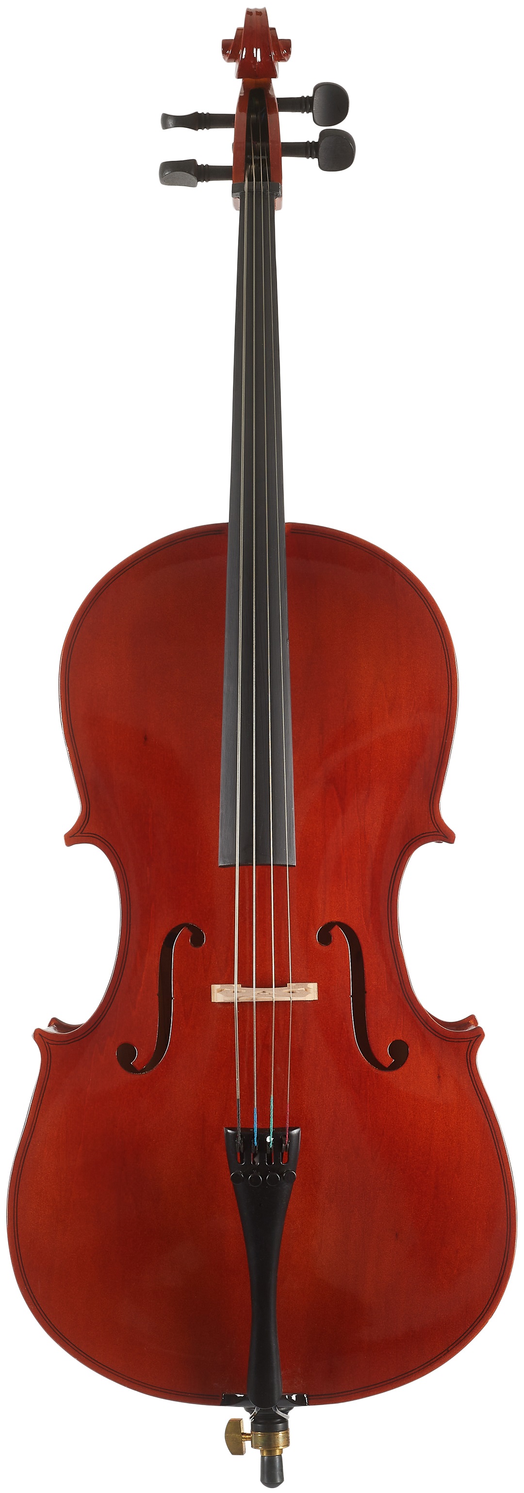 Fotografie Luthier Academy - 1/4