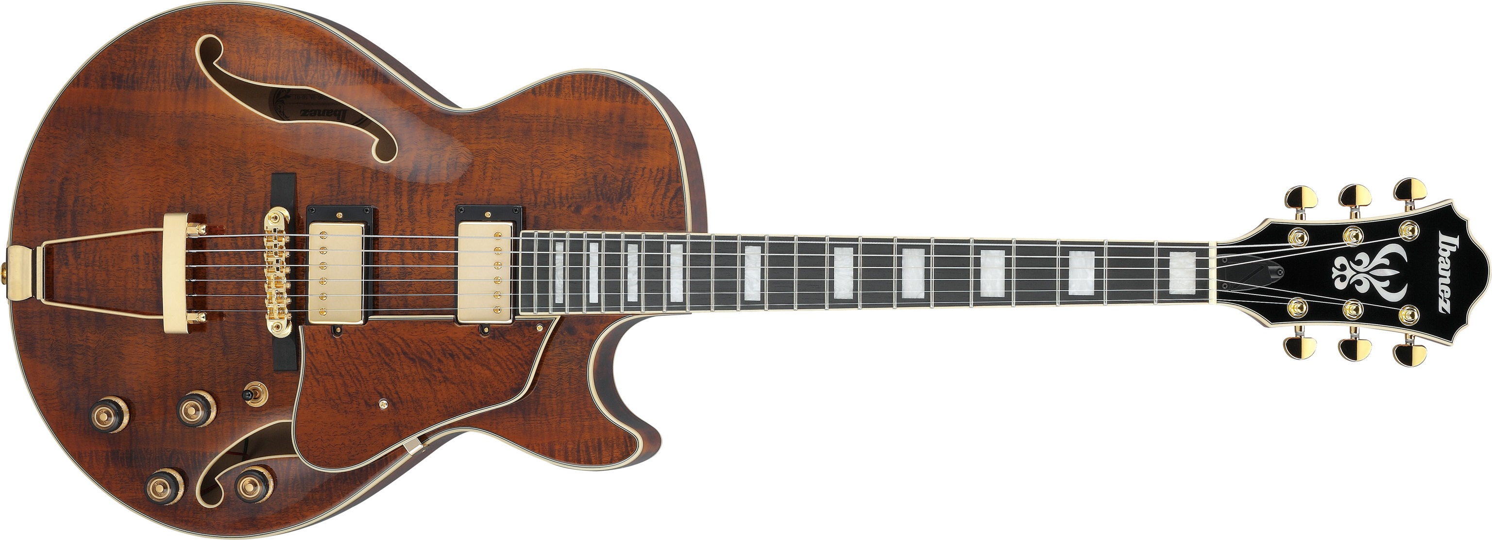 Fotografie Ibanez AG95MG-DA