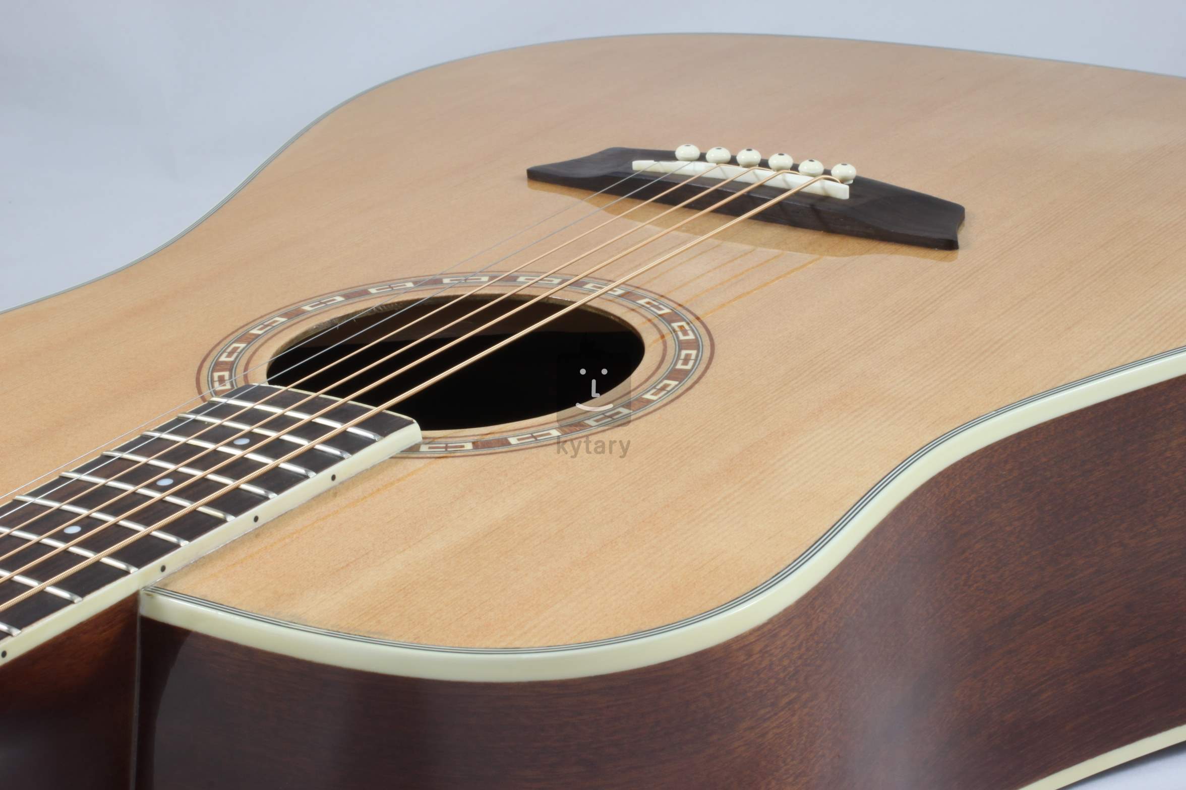 WASHBURN WD10 Akustická kytara Kytary.cz